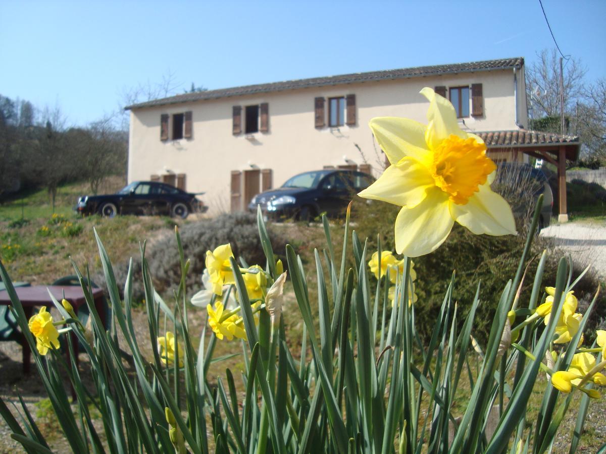 Hotel Le Relais Du Chateau Grignols  Buitenkant foto
